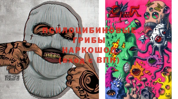 сатива Алексин