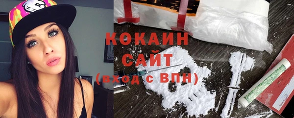 гидра Аркадак