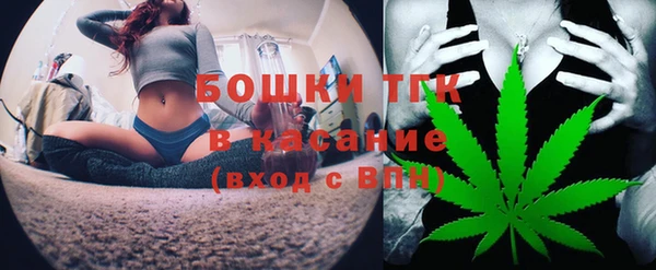 ПСИЛОЦИБИНОВЫЕ ГРИБЫ Арсеньев