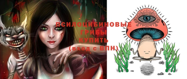 сатива Алексин