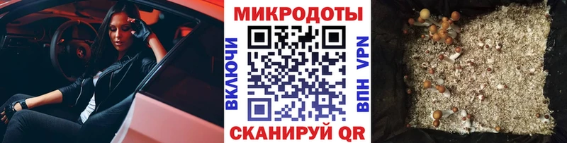 Купить где  Архангельск  Галлюциногенные грибы ЛСД 